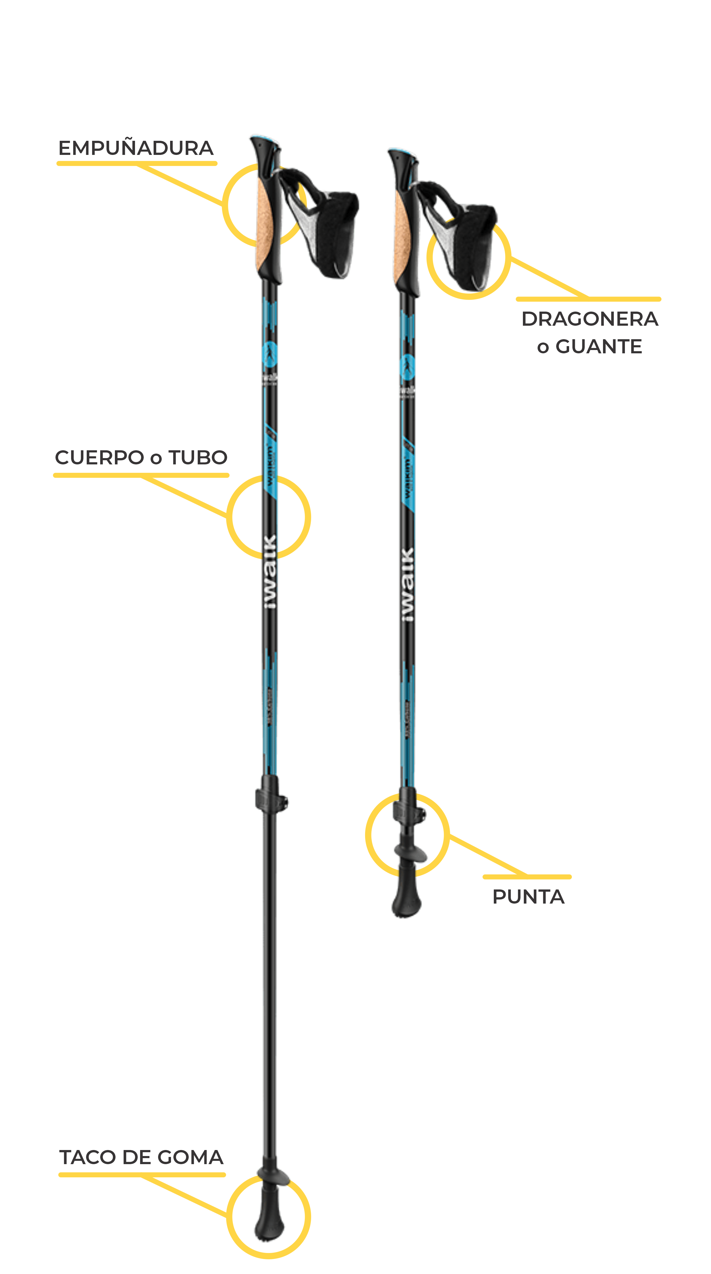bastones para Marcha Nordica