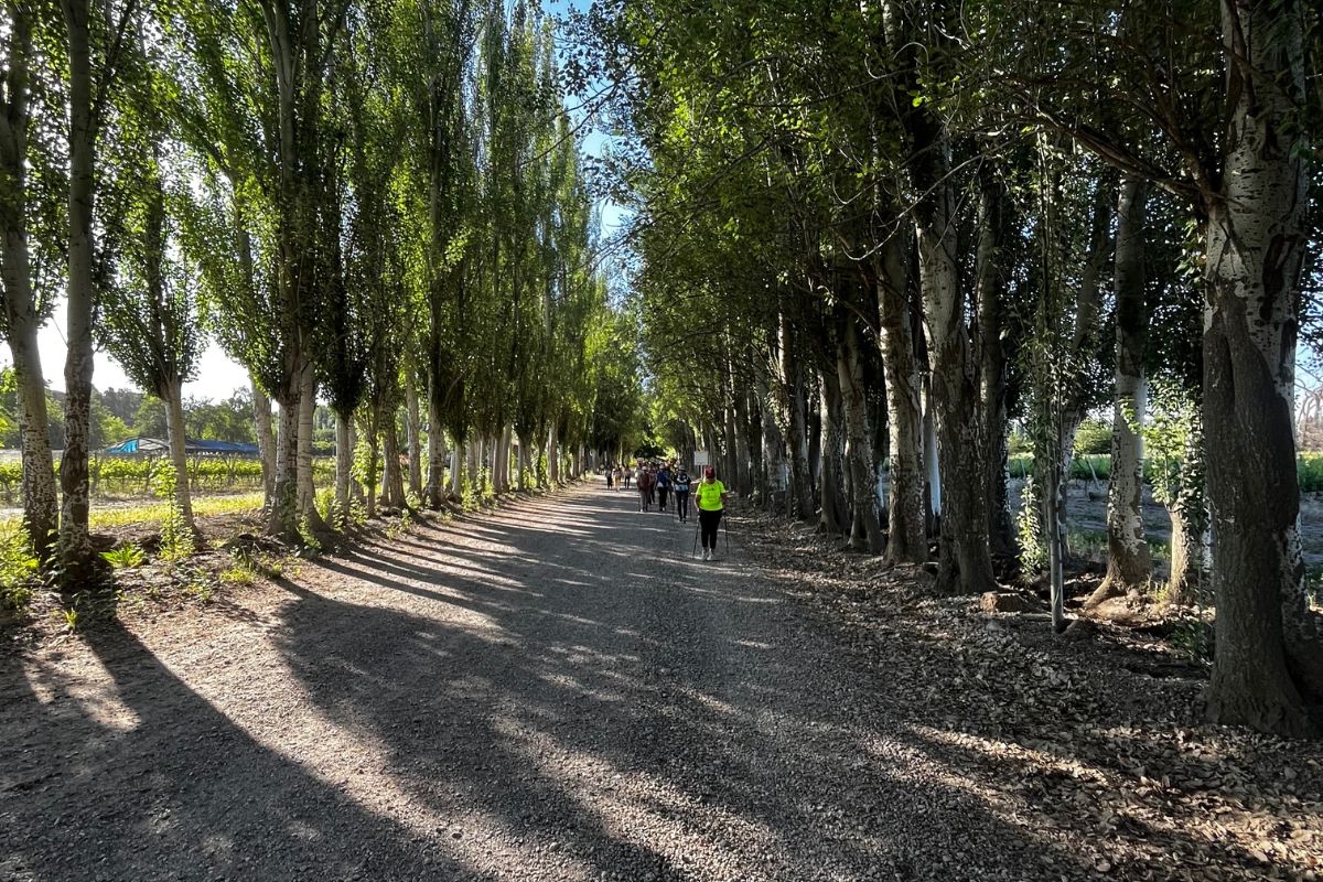 foto del viaje a Mendoza